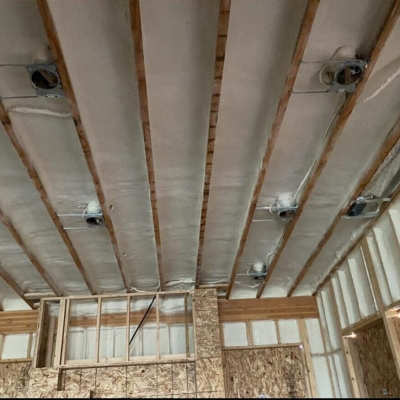 WhatsApp Image 2025-11-20 at 9.34.53 AM